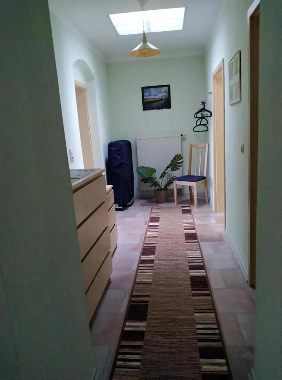 Ambiente-An-Der-Elbe-Wohnung-Og Dresden Bagian luar foto